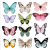 sets of 3D butterfly accessory card bouquets