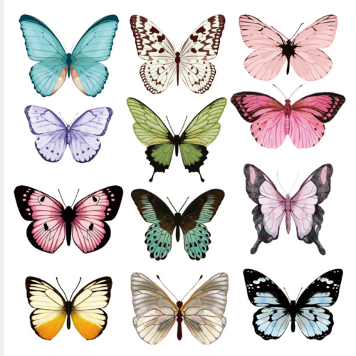 sets of 3D butterfly accessory card bouquets