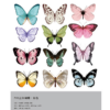 sets of 3D butterfly accessory card bouquets