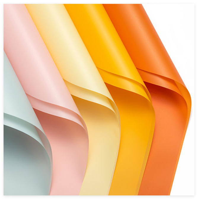 微信图片_20260401160202_5188_1 LR Minimalist Floral Wrapping Paper