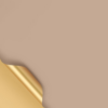 LR Waterproof Gold-Stamped Patterned Wrapping Paper