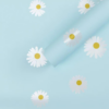 微信图片_20260402105015_5825_1 LR Minimalist Sunflower Wrapping Paper