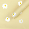 微信图片_20260402105025_5827_1 LR Minimalist Sunflower Wrapping Paper