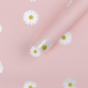 微信图片_20260402105034_5829_1 LR Minimalist Sunflower Wrapping Paper