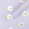 微信图片_20260402105039_5830_1 LR Minimalist Sunflower Wrapping Paper