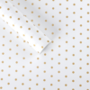微信图片_20260402115757_5909_1 LR Polka Dot Bouquet Wrapping Paper