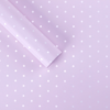 微信图片_20260402115841_5917_1 LR Polka Dot Bouquet Wrapping Paper