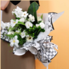 微信图片_20260402150033_6071_1 LR IV Clover Floral Paper