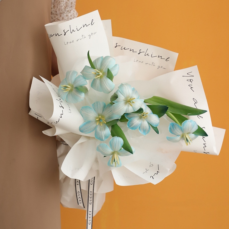 LR Simple Waterproof Wrapping Paper