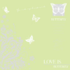 Dancing Butterfly Floral Wrapping Paper