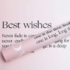 微信图片_20260411130227_8673_1 Good Wishes Floral Wrapping Paper
