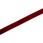 DS